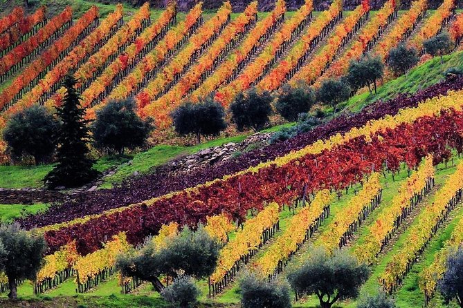 Douro Valley - Relaxed Departure from Porto - The Long Ride Back to Porto