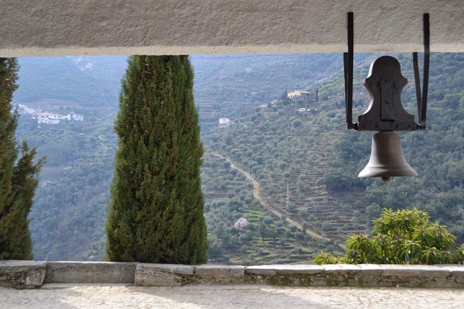 Douro Valley Tour: 2 Vineyard Visits, River Cruise, Winery Lunch - Who should book this Douro tour