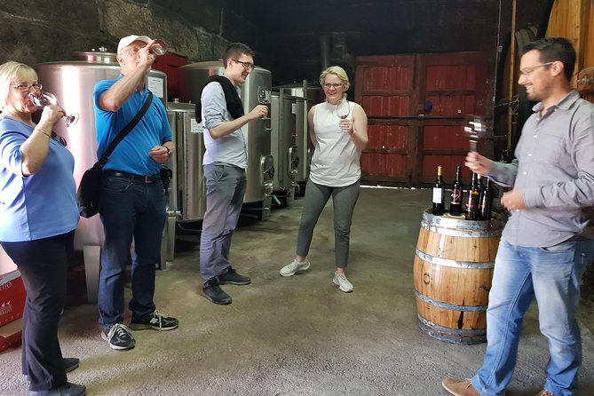 Douro Valley Tour: 2 Vineyard Visits, River Cruise, Winery Lunch - Leaving Porto for the terraced Douro hills
