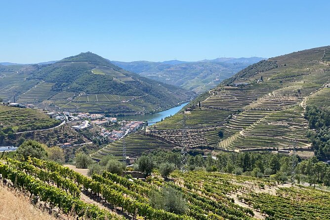 Douro Valley Tour - 3 Wine tastings, Lunch & river Cruise - Pinhão gives you the choice of boat or riverside walk