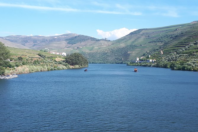Douro Valley Tour (wine & Food) - Sandeman at Quinta do Seixo
