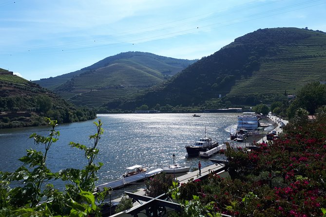 Douro Valley Tour (wine & Food) - Timing, group size, and value