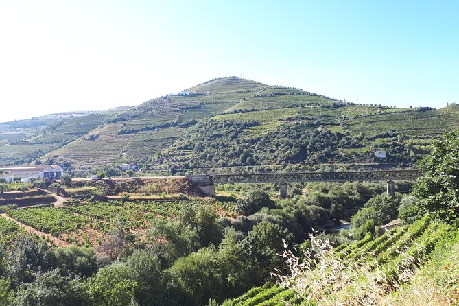Douro Valley Tour (wine & Food) - Who should book this Douro day