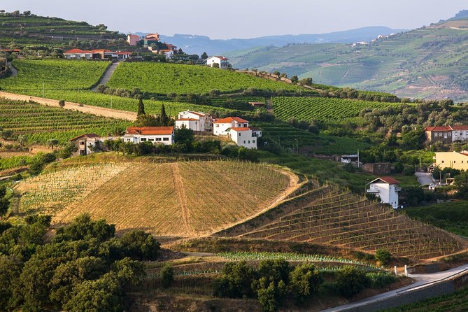 Douro Valley Tour: Wine Tasting, Cruise and Lunch from Porto - The one-hour boat ride on the Douro