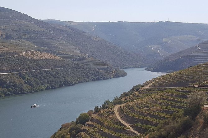 Douro Valley Tour: Wine Tasting River Cruise and Lunch from Porto - From Porto’s Fernandine Walls to the Douro Valley