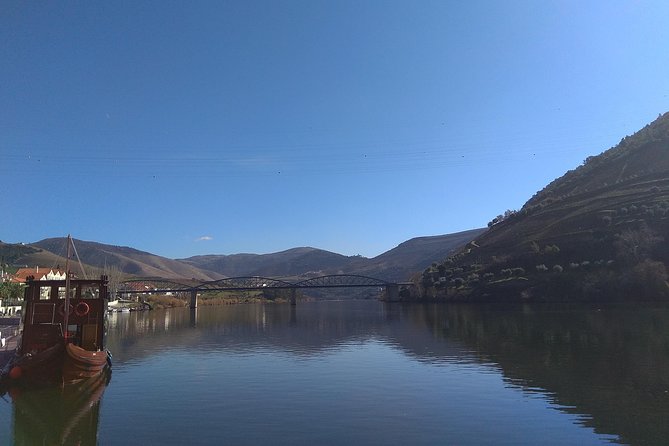 Douro Valley Tour: Wine Tasting River Cruise and Lunch from Porto - Wine, Port, olive oil, and honey at the farm
