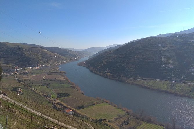 Douro Valley Tour: Wine Tasting River Cruise and Lunch from Porto - A generous lunch in the Douro