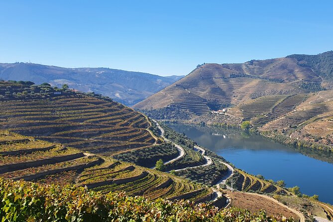 Douro Valley Tour: Wine Tasting River Cruise and Lunch from Porto - Pinhão and the golden river