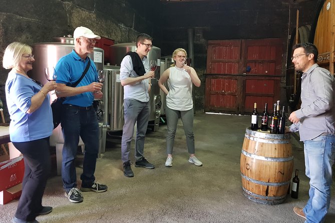 Douro Valley Wine Tour: 3 Vineyard Visits, Wine Tastings, Lunch - The guides make a real difference