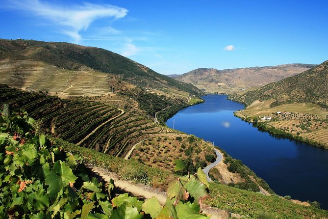 Douro Valley Wine Tour: 3 Vineyard Visits, Wine Tastings, Lunch - Folgosa and the Port tasting
