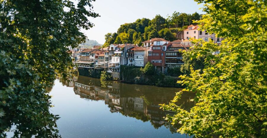 Douro Valley: Wine Tour with Lunch, Tastings & River Cruise - The guides can shape the whole day