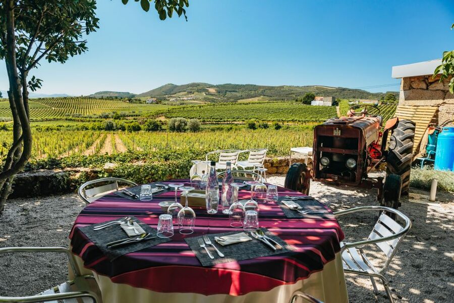 Douro Valley: Wine Tour with Lunch, Tastings & River Cruise - Sabrosa and the family-owned estate