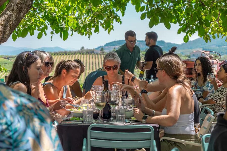 Douro Valley: Wine Tour with Lunch, Tastings & River Cruise - The lunch is more than a practical break