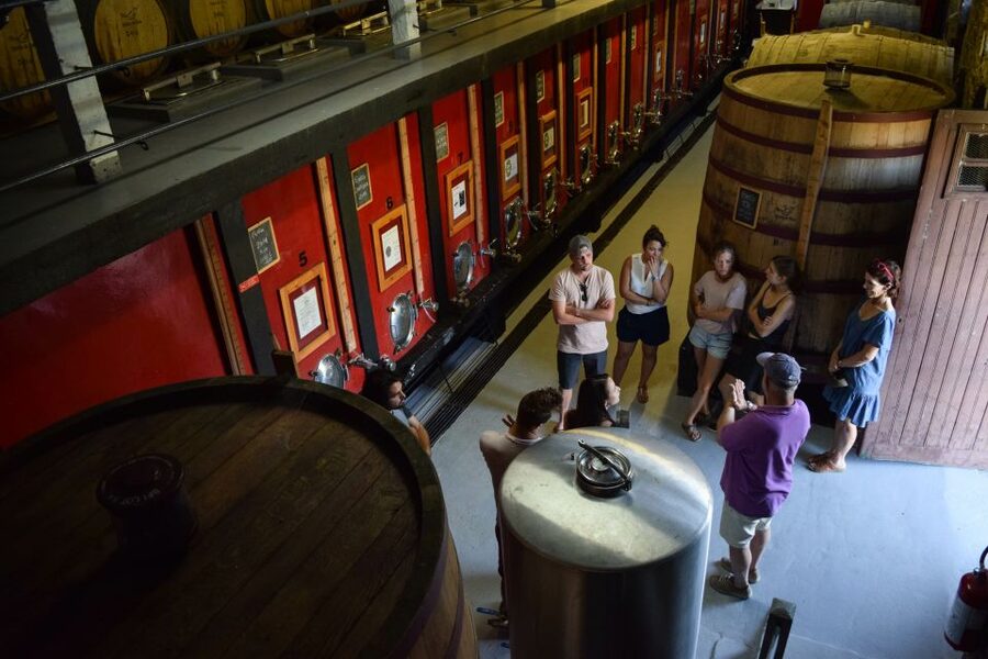 Douro Valley: Winery Tour at Quinta do Tedo and Tastings - Key points to know before you go