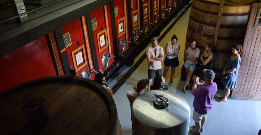 Douro Valley: Winery Tour at Quinta do Tedo and Tastings - Arriving at Quinta do Tedo in the Douro Valley