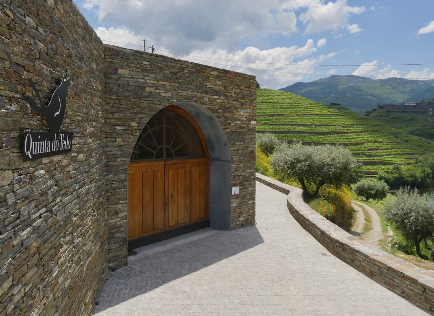 Douro Valley: Winery Tour at Quinta do Tedo and Tastings - The 35-minute tour through vineyards and cellars
