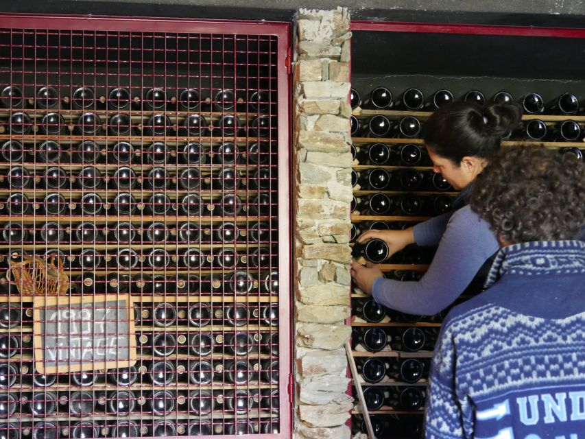 Douro Valley: Winery Tour at Quinta do Tedo and Tastings - The 30-minute tasting above the Douro