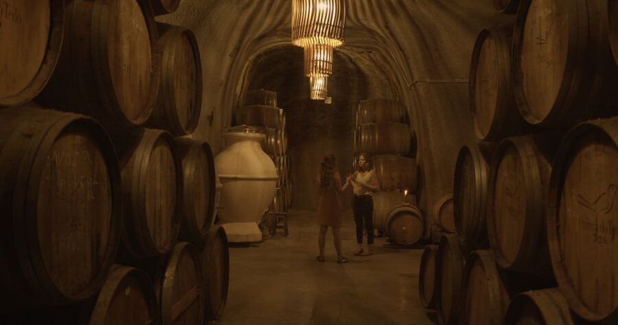 Douro Valley: Winery Tour at Quinta do Tedo and Tastings - Practical advice for a smoother visit