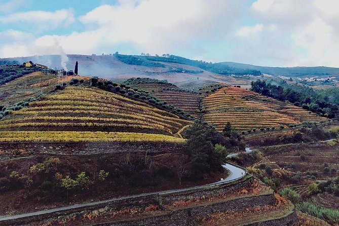 Douro Valley with Two Winery, Boat Trip and Lunch From Porto - A Long Day from Porto to the Douro