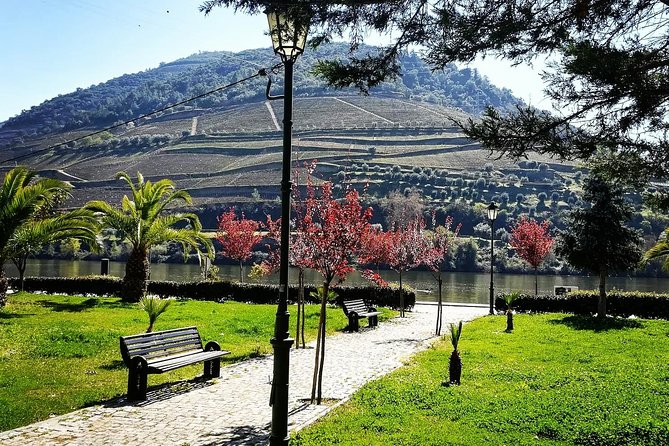Douro Valley with Two Winery, Boat Trip and Lunch From Porto - A Quiet Cruise from Pinhão