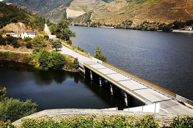 Douro Valley with Two Winery, Boat Trip and Lunch From Porto - The Smaller Winery and Olive Oil Stop