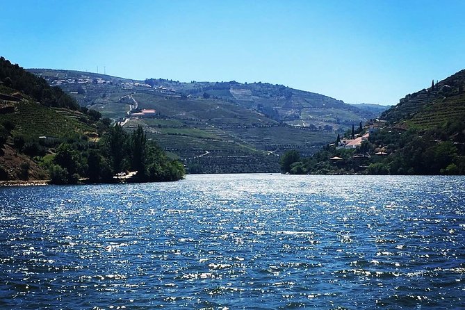 Douro Valley with Two Winery, Boat Trip and Lunch From Porto - Who Will Enjoy This Douro Tour?