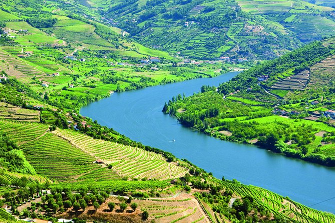 Douro Valley with Two Winery, Boat Trip and Lunch From Porto - Viewpoints Above the Douro