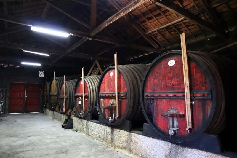 Exclusive Douro Valley: 3 Wineries, 9 Wine Tastings & Lunch - Key points to know before booking