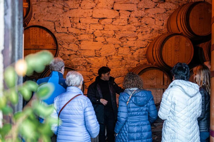 Exclusive Douro Valley: 3 Wineries, 9 Wine Tastings & Lunch - Heat, clothing, and physical limits