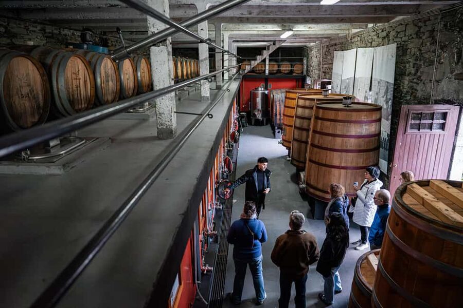 Exclusive Douro Valley: 3 Wineries, 9 Wine Tastings & Lunch - Riverside Portuguese lunch