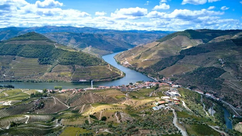 Exclusive Douro Valley: 3 Wineries, 9 Wine Tastings & Lunch - Second winery: four more wines and bigger views