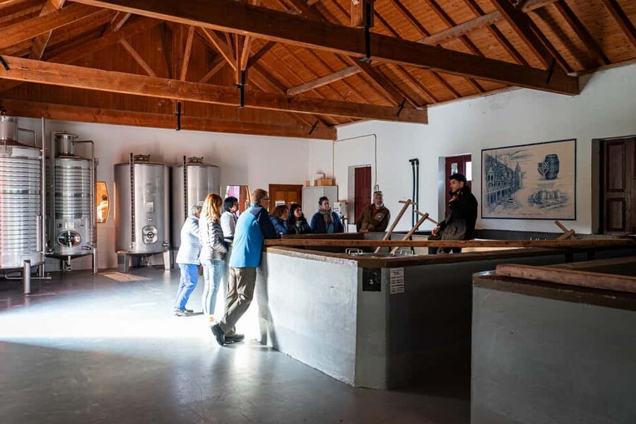 Exclusive Douro Valley: 3 Wineries, 9 Wine Tastings & Lunch - The guide can make or break the day