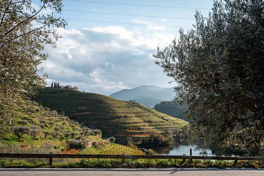Exclusive Douro Valley: 3 Wineries, 9 Wine Tastings & Lunch - Is $153 a fair price?