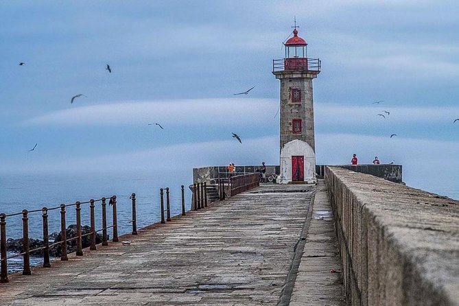 Experience Porto by Bike: 3-Hour Private Tour - Guide quality can shape the whole outing