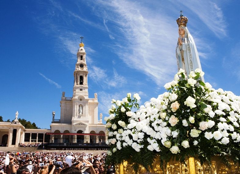 Fátima and Coimbra Full-Day Tour from Porto - The journey south in a comfortable minibus