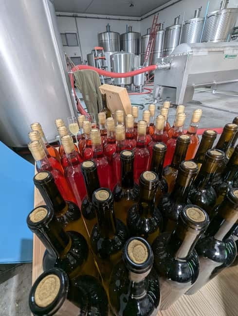 From Porto: 2 Wine Regions, Farm-to-Table Lunch & Boat - A farm-to-table lunch that earns its place