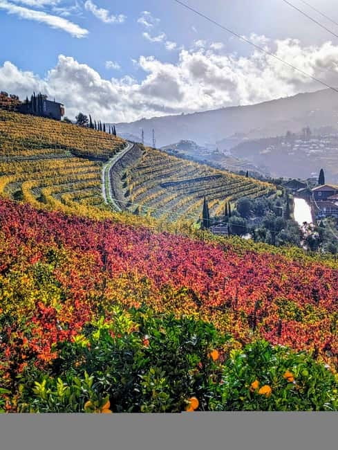 From Porto: 2 Wine Regions, Farm-to-Table Lunch & Boat - Fire-opening a Vintage Port bottle