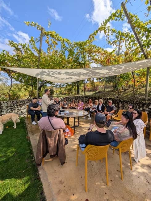 From Porto: 2 Wine Regions, Farm-to-Table Lunch & Boat - What the $127 price includes
