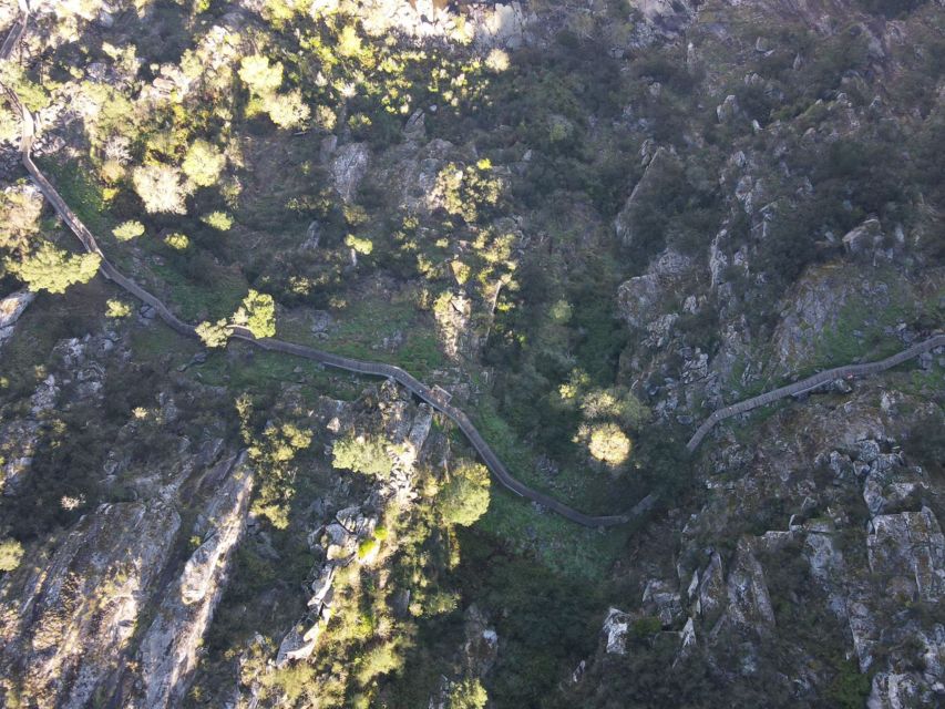 From Porto: Arouca 516 and Paiva Walkways Guided Day Trip - The Paiva Walkways: 8 kilometers beside the river