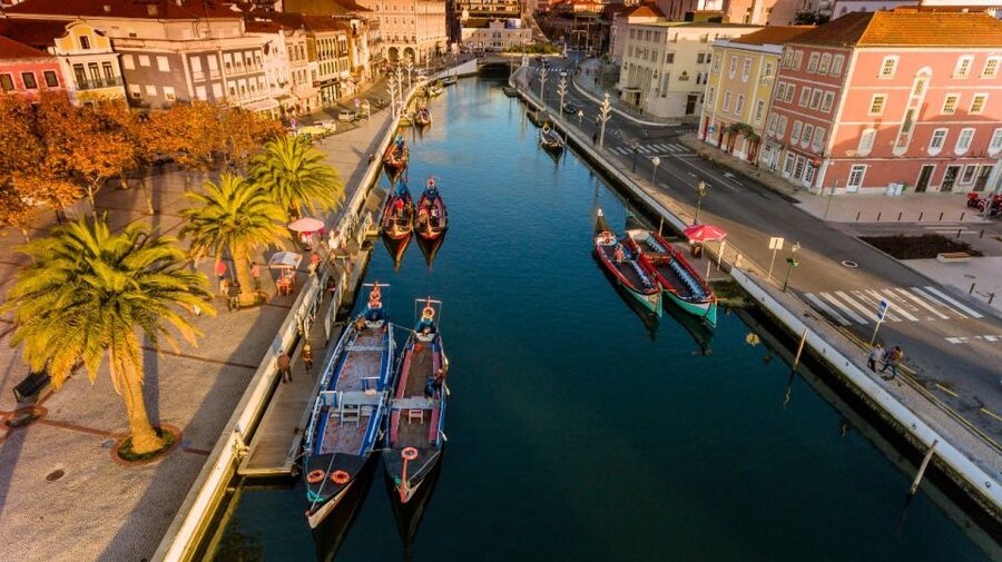 From Porto: Aveiro and Coimbra Private Tour - From Porto to Aveiro in a private vehicle
