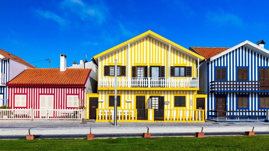 From Porto: Aveiro and Coimbra Private Tour - Lunch in Coimbra taverns