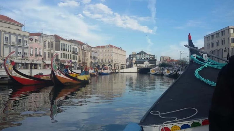 From Porto: Aveiro & Coimbra Tour with Moliceiro Boat Cruise - Key points at a glance