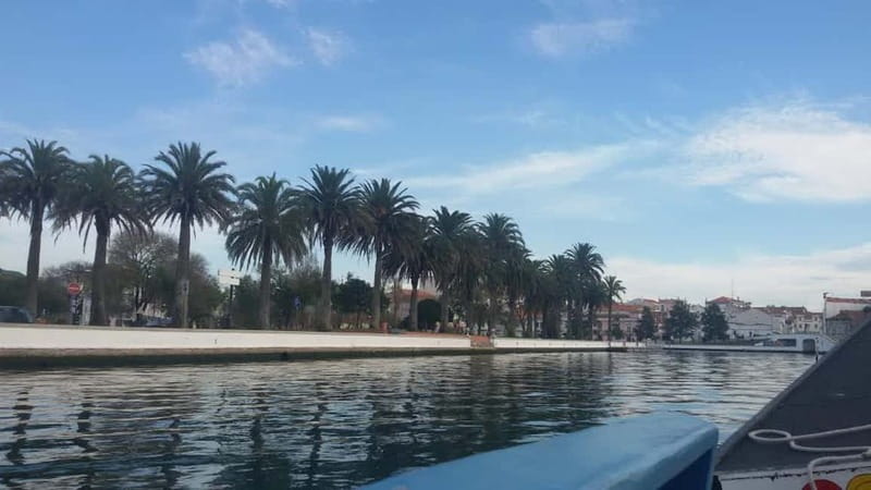 From Porto: Aveiro & Coimbra Tour with Moliceiro Boat Cruise - Aveiro’s canals, fish market, and Art Nouveau