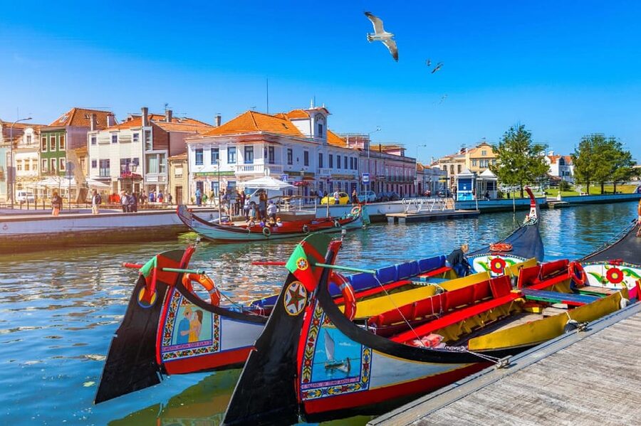 From Porto: Aveiro Half Day Tour - Costa Nova and its striped houses