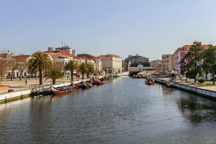 From Porto: Aveiro Half Day Tour - Who should book this five-hour excursion