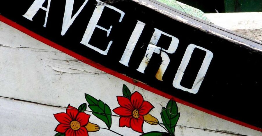 From Porto: Aveiro Half-Day Tour with 1-Hour Cruise - Who will enjoy this tour most