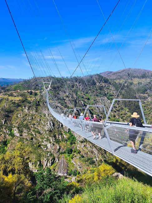From Porto: Aveiro, Paiva Walkways and Arouca 516 Footbridge - Why this day trip works so well