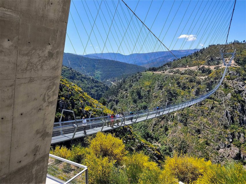 From Porto: Aveiro, Paiva Walkways and Arouca 516 Footbridge - What the small group changes