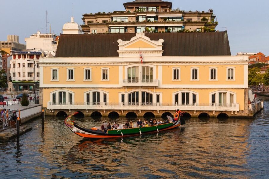 From Porto: Aveiro Private Guided Day Trip - Aveiro’s canals, boats, and city center