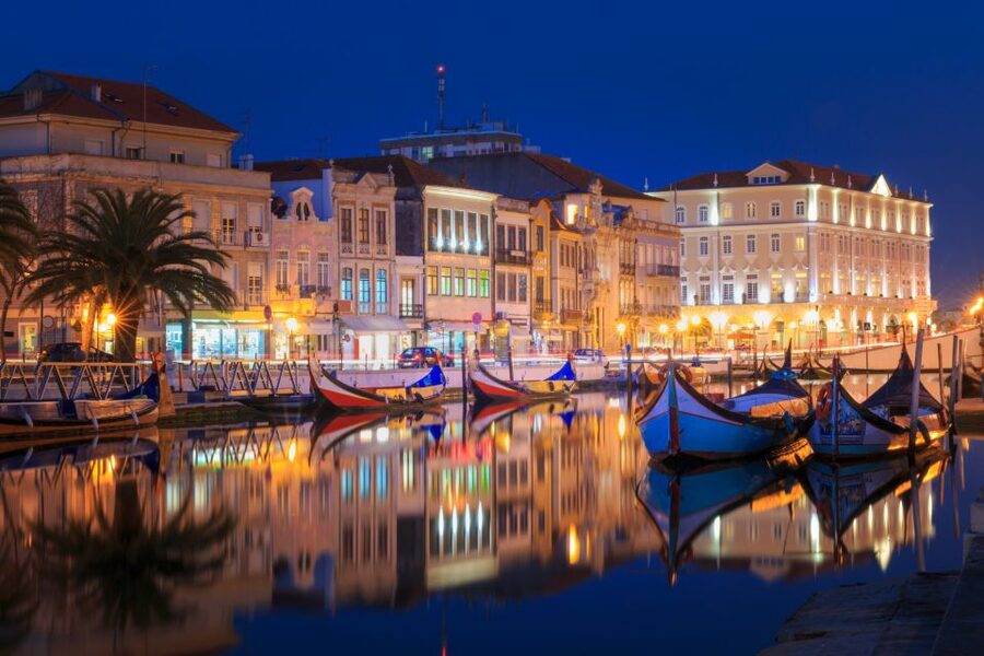 From Porto: Aveiro Private Guided Day Trip - Lunch, ovos moles, and local flavors